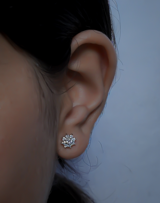 Snowflake brilliance Ear Rings